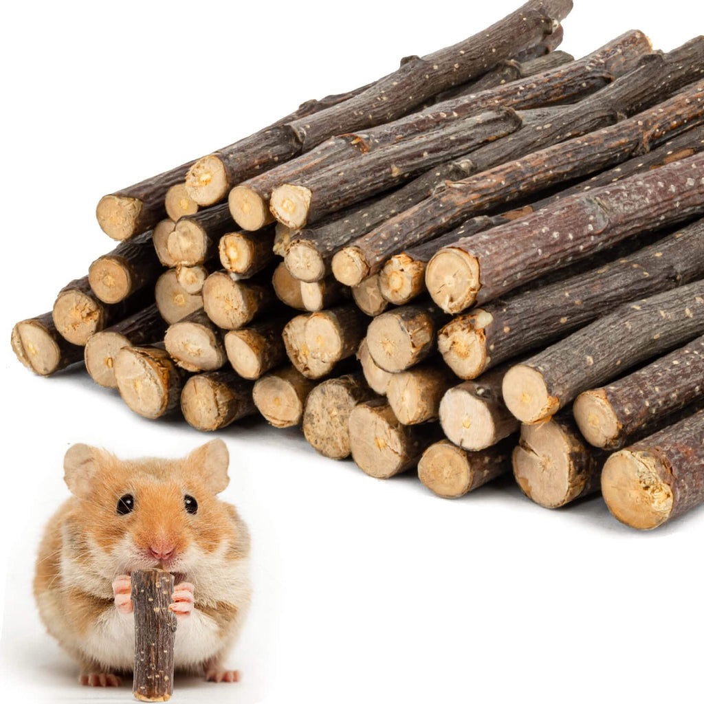 Sukh Natural Organic Apple Sticks - 250g Hamster Chew Toys Hams Rabbit Bunny Gerbil Guinea Pig Squirrel Chinchilla Animal Chew Toys Chew Sticks - PawsPlanet Australia