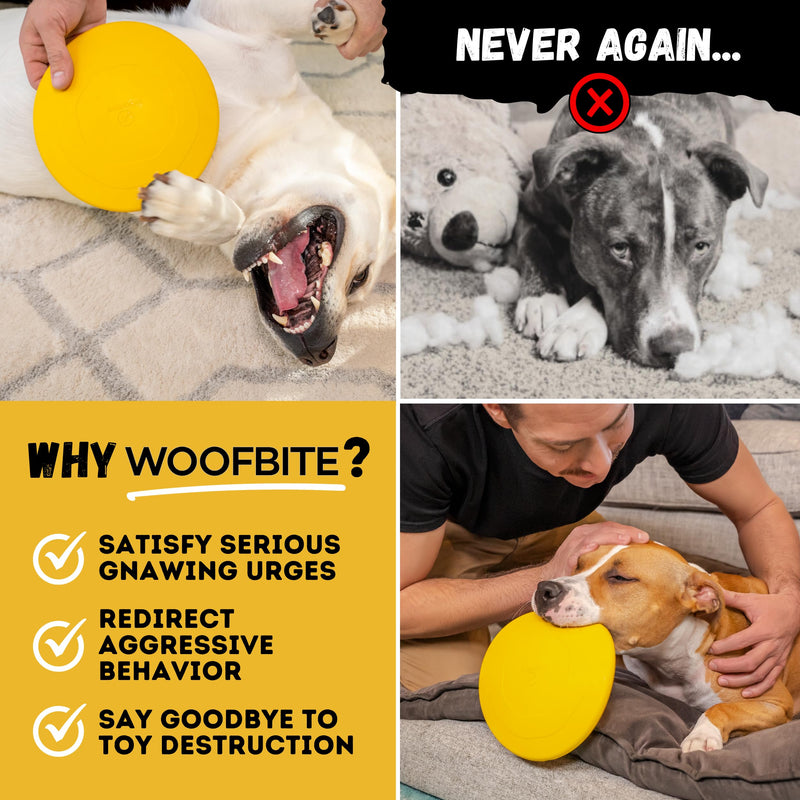 "Indestructible Dog Disc - Lifetime Replacement - Medium & Large Breed - Ultra Durable for Aggressive Chewers - Tough & Strong, Heavy Duty Natural Rubber Toy - Fetch, Tug, & Chew - 8in Gold - PawsPlanet Australia