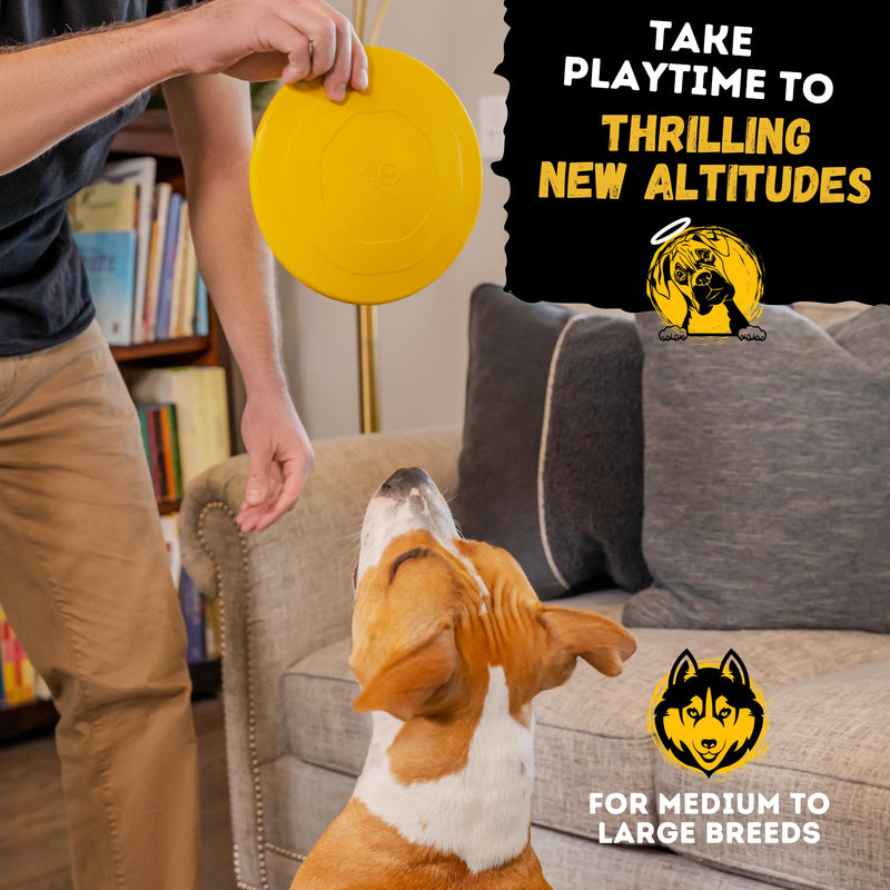 "Indestructible Dog Disc - Lifetime Replacement - Medium & Large Breed - Ultra Durable for Aggressive Chewers - Tough & Strong, Heavy Duty Natural Rubber Toy - Fetch, Tug, & Chew - 8in Gold - PawsPlanet Australia