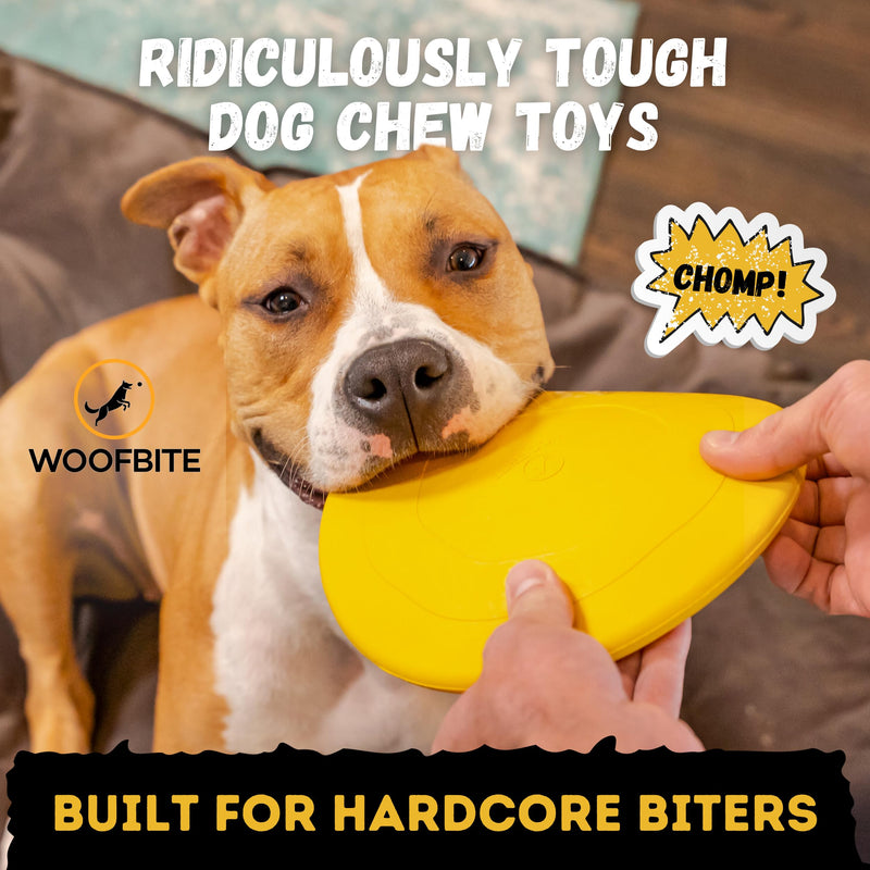 "Indestructible Dog Disc - Lifetime Replacement - Medium & Large Breed - Ultra Durable for Aggressive Chewers - Tough & Strong, Heavy Duty Natural Rubber Toy - Fetch, Tug, & Chew - 8in Gold - PawsPlanet Australia