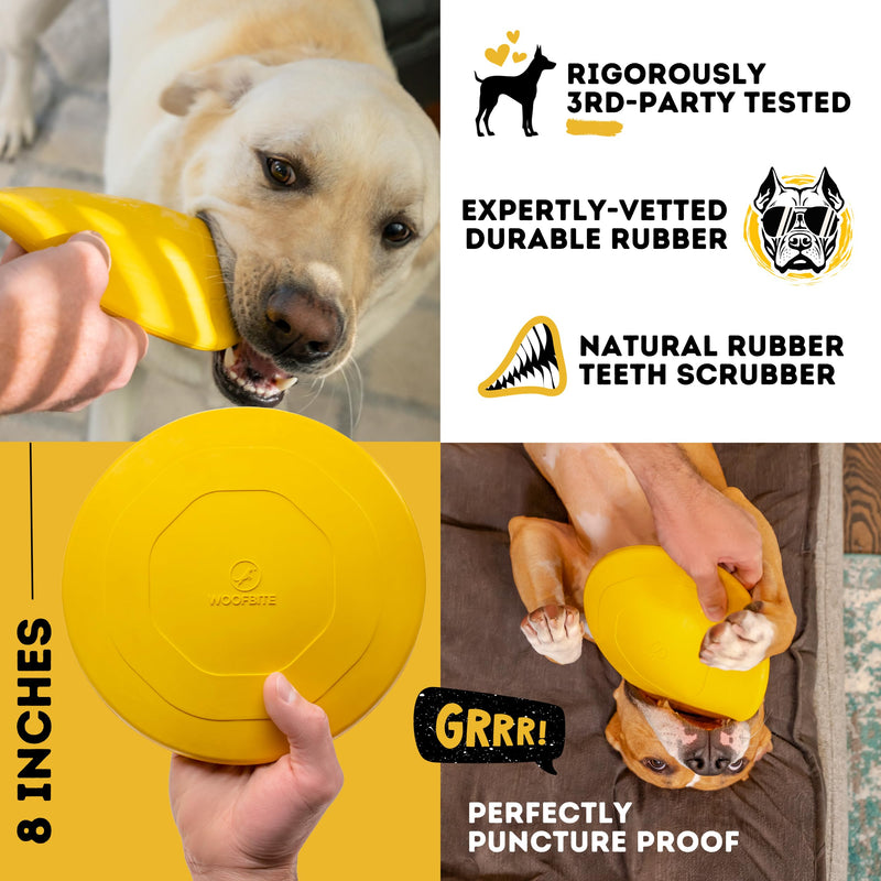 "Indestructible Dog Disc - Lifetime Replacement - Medium & Large Breed - Ultra Durable for Aggressive Chewers - Tough & Strong, Heavy Duty Natural Rubber Toy - Fetch, Tug, & Chew - 8in Gold - PawsPlanet Australia