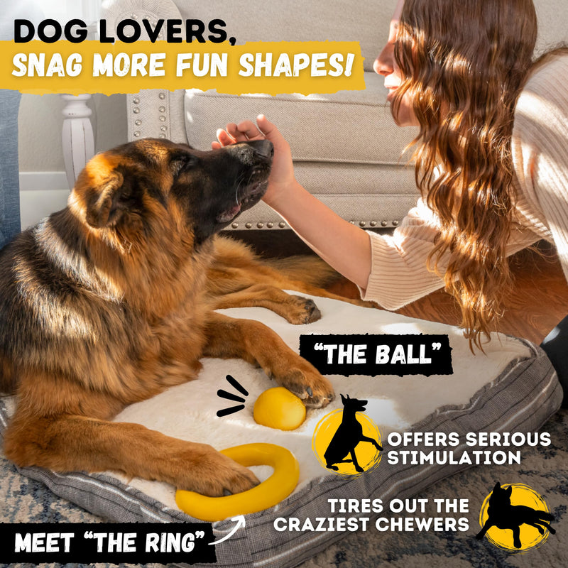 "Indestructible Dog Disc - Lifetime Replacement - Medium & Large Breed - Ultra Durable for Aggressive Chewers - Tough & Strong, Heavy Duty Natural Rubber Toy - Fetch, Tug, & Chew - 8in Gold - PawsPlanet Australia
