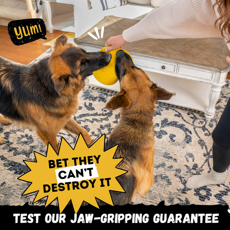 "Indestructible Dog Disc - Lifetime Replacement - Medium & Large Breed - Ultra Durable for Aggressive Chewers - Tough & Strong, Heavy Duty Natural Rubber Toy - Fetch, Tug, & Chew - 8in Gold - PawsPlanet Australia