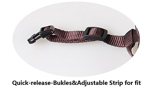 Fashionable Pet Dog Baseball Cap Outdoor Travel Hat - Summer Sun Protection Cap for Small Medium Large Dog (Small, Blue Strip) - PawsPlanet Australia