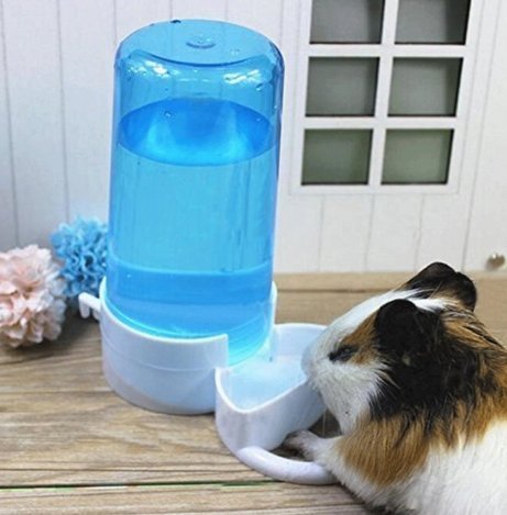 Old Tjikko Automatic Pet Feeder,Bird Hamster Small Animal Feeder, Automatic Feeding Device Water Dispenser for Hamster Bird Pigeon Parrots Mini Hedgehog with Holder 5.90x2.83x6.10in - PawsPlanet Australia
