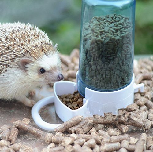 Old Tjikko Automatic Pet Feeder,Bird Hamster Small Animal Feeder, Automatic Feeding Device Water Dispenser for Hamster Bird Pigeon Parrots Mini Hedgehog with Holder 5.90x2.83x6.10in - PawsPlanet Australia