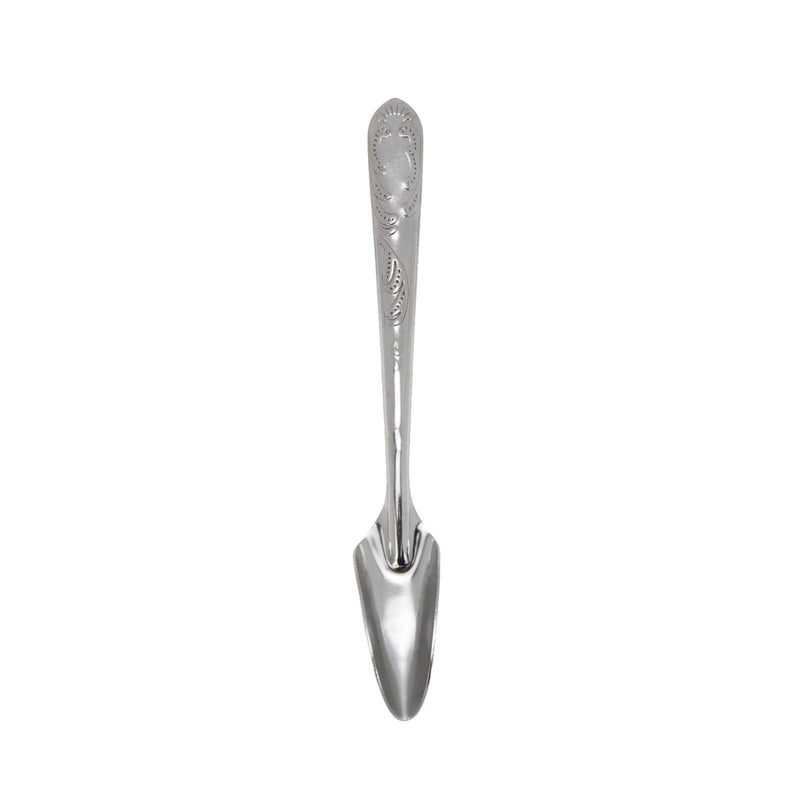Quluxe 5 Pcs Bird Parrot Stainless Steel Metal Feeding Spoon, Special Feeding Scoop Medicine Spoons Hand Feeding Spoons for Peony Cockatiel Parrot - PawsPlanet Australia