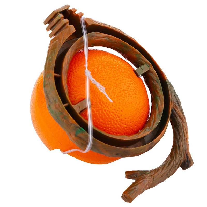 Bird Feeder Fruit Shape with Clamp Holder Cage-Pet Food & Water Bowl Parrot Food Box Cage Decoration (Orange Shape) - PawsPlanet Australia
