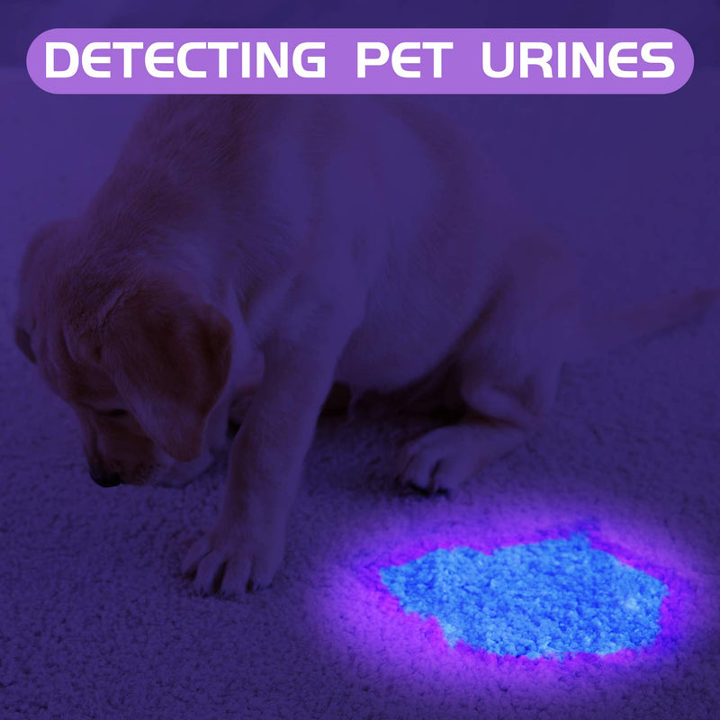 [Australia] - 2 Pack UV Flashlight, Delxo 21 LED Blacklight Flashlights 395nm Detector for Dog Pet Urine Stains Bed Bugs and Scorpions,Authenticate Currency,Detection Lights of Fluorescent Agent 