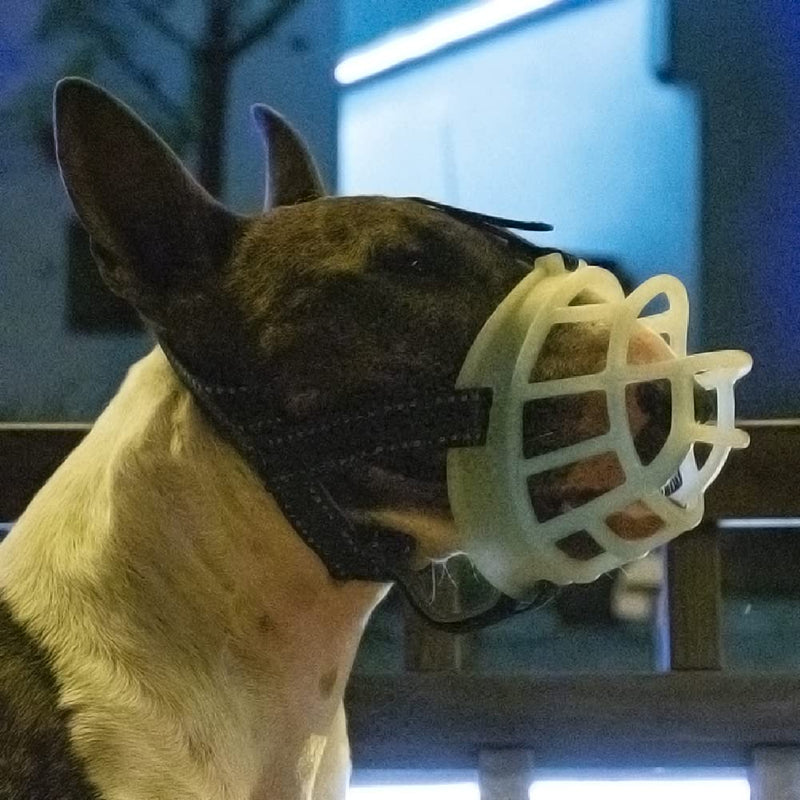 CBBPET Dog Muzzle, Breathable for Medium Dogs, Stop Biting, Barking and Chewing, Best for Aggressive Dogs M-(Snout 9-10") - PawsPlanet Australia