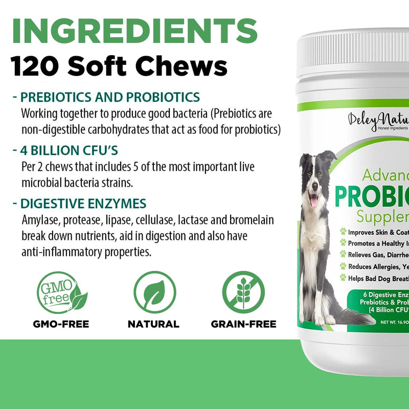 Probiotics for Dogs 4 Billion CFU's, Digestive Enzymes, Prebiotics