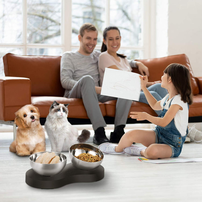 KANCHOU Elevated Cat Bowls for Food and Water 23 OZ Capacity 20°Tilted Stainless Steel cat Bowls for Small Size Dog and Puppy or cat Dishes Indoor (Double Bowl) Double Bowl - PawsPlanet Australia