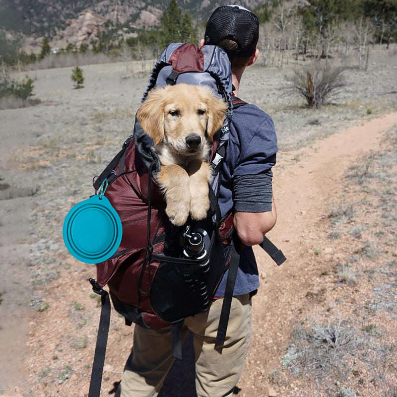 SLSON 2Pack Collapsible Dog Bowl,Integrated Molding Travel Bowl No Plastic Rim Pet Feeding Bowls for Walking Traveling Outdoors,600ML (Light Blue+Light Green) - PawsPlanet Australia