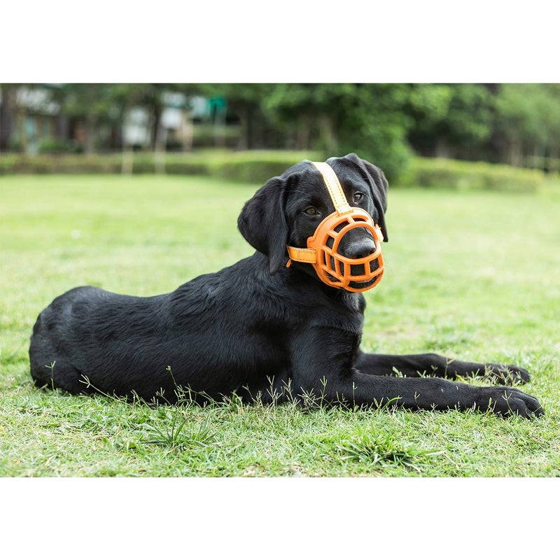 BARKLESS Dog Muzzle, Soft Silicone Basket Muzzle for Dogs, Allows Panting and Drinking, Prevents Unwanted Barking Biting and Chewing, Included Collar and Training Guide 5 (Snout 13.5-14.5") Orange - PawsPlanet Australia