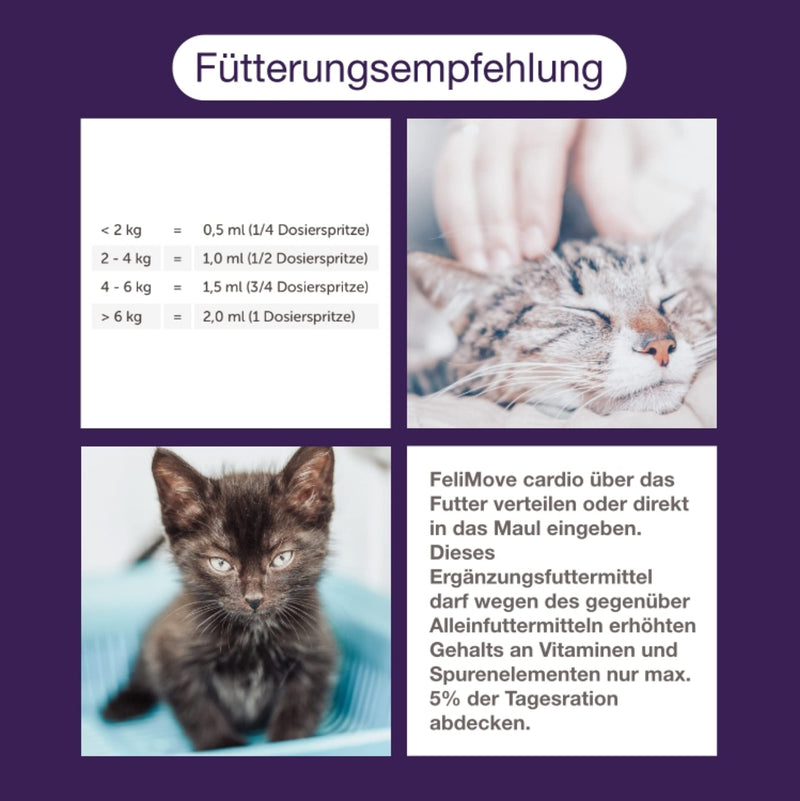 FeliMove dental liquid for cats with medicinal mushrooms, propolis