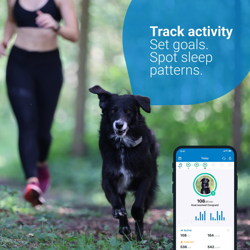 Tractive GPS DOG 4, Dog Tracker, Always Know Where Your Dog Is, Keep Them Fit with Activity Monitoring, Unlimited Range (Coffee) - PawsPlanet Australia