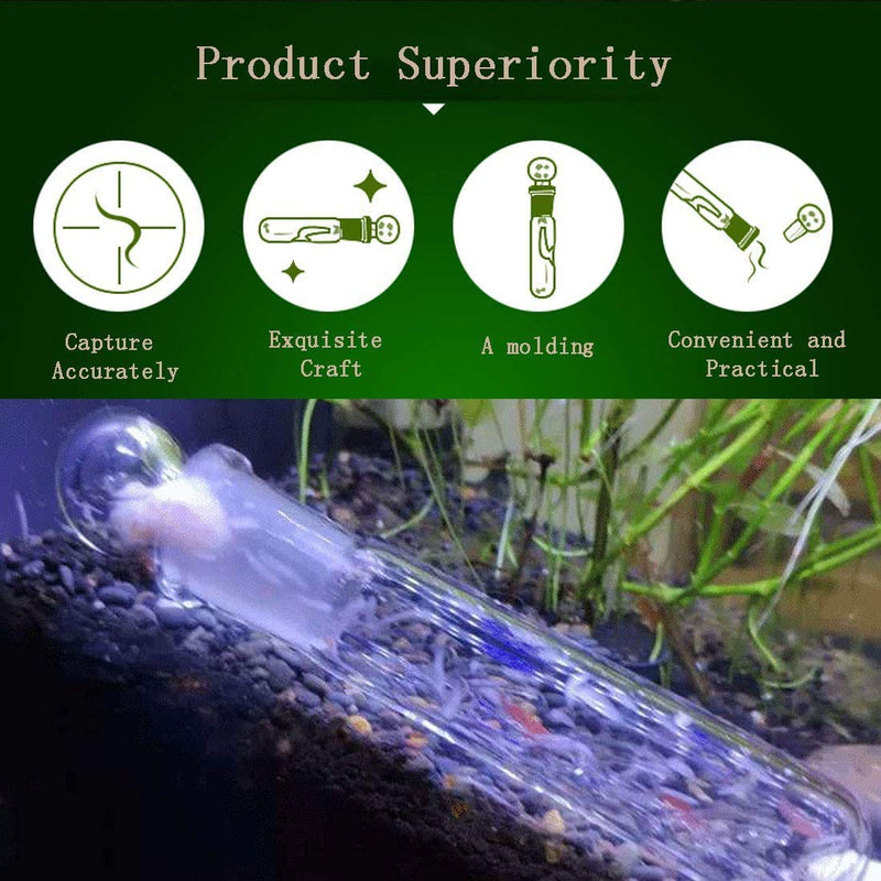 Windspeed Planaria Trap Catch Trap Leeches Catcher, Aquarium Supplies Clear Glass Planarian Leech Trap Tube Pest Catcher 3 Holes for Cherry Shrimp Crystal red Shrimp Dwarf Shrimp - PawsPlanet Australia