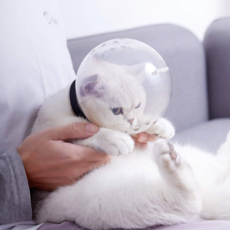 Ovida Cat Adjustable Hood Kitten Breathable Anti Bite Muzzles Prevent from Cats Biting and Chewing, Safety Prevent for Small Pets Grooming M for cat neck 6.8-9.25'' - PawsPlanet Australia