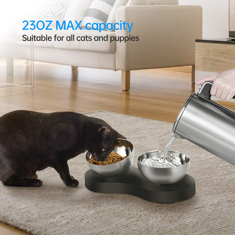 KANCHOU Elevated Cat Bowls for Food and Water 23 OZ Capacity 20°Tilted Stainless Steel cat Bowls for Small Size Dog and Puppy or cat Dishes Indoor (Double Bowl) Double Bowl - PawsPlanet Australia