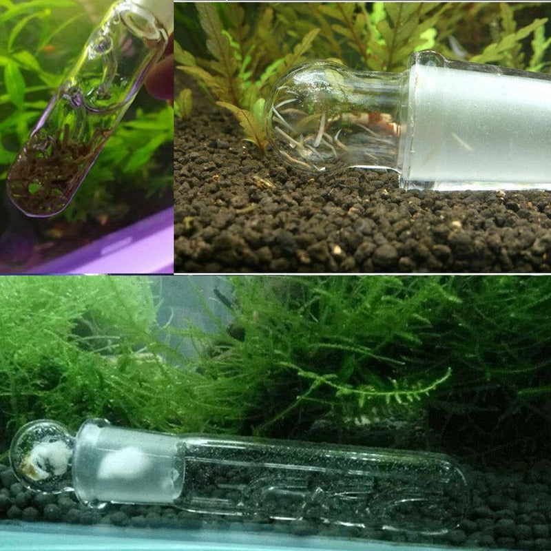 Windspeed Planaria Trap Catch Trap Leeches Catcher, Aquarium Supplies Clear Glass Planarian Leech Trap Tube Pest Catcher 3 Holes for Cherry Shrimp Crystal red Shrimp Dwarf Shrimp - PawsPlanet Australia