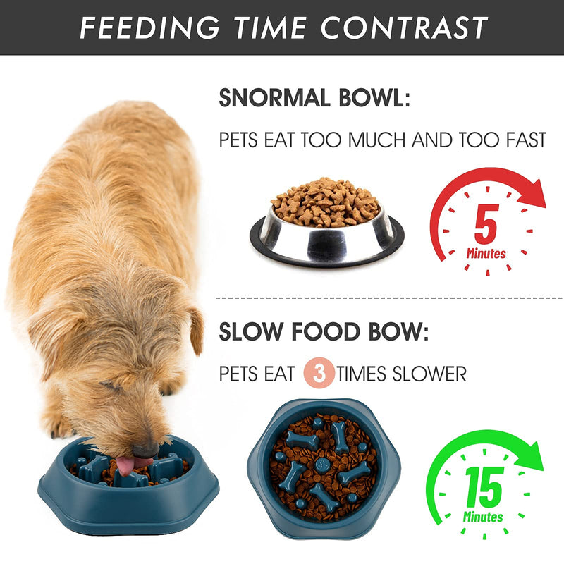DPOEGTS Slow Feeder Dog Bowl, Puzzle Dog Food Bowl Anti-Gulping Interactive Dog Bowl and Water Dog Bowl for Small/Medium Sized Dogs Bone-Blue - PawsPlanet Australia