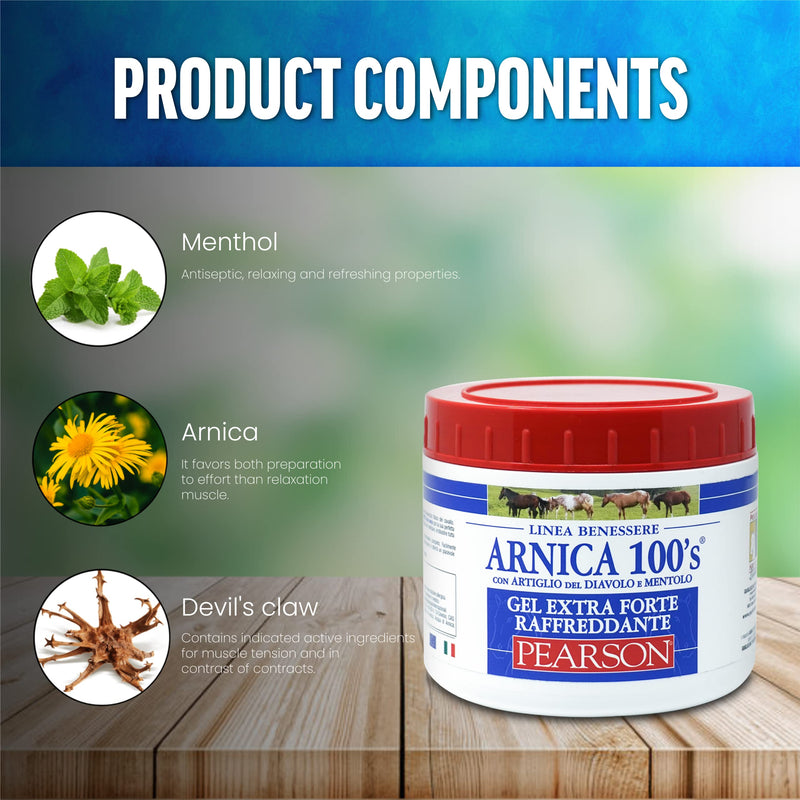 ARNICA 100'S - Arnica for horses, cooling gel Extra Forte from Pearson  [500ml]. Arnica Gel Forte, cream with devil's claw and menthol.  Regenerating and relaxing ointment 500 ml