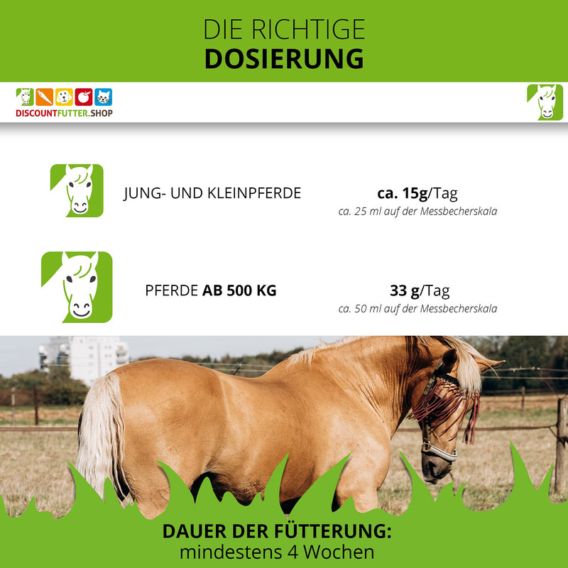 Magnesium 100,000 pellets for horses 1 kg I horse feed without grains and added sugar, high