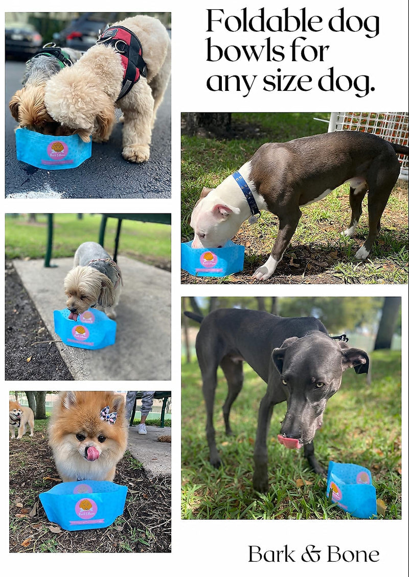 Foldable Dog Travel Bowls - Fit in Your Pocket. Portable & Reusable Water & Food Dog Bowls to Hydrate and Feed Your Dog On The Go. Multipack of 4 - (2 Open Top & 2 Resealable) Multipack of 4 - 2 Open Top & 2 Resealable - PawsPlanet Australia
