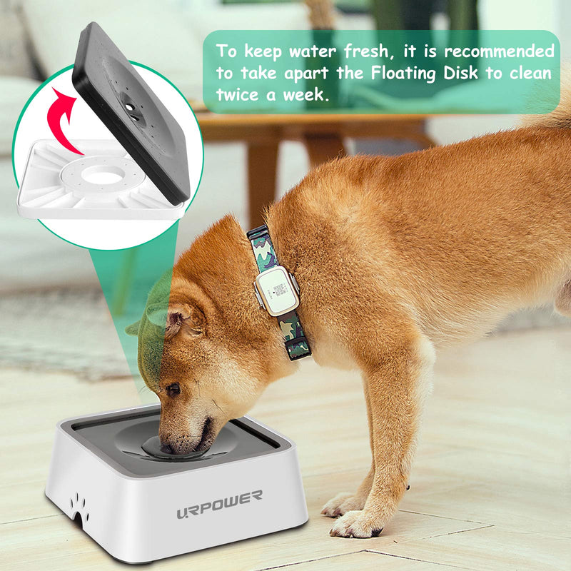 URPOWER 2L Dog Water Bowl 70oz Large Capacity Cat Water Bowl No Spill Dog Bowl with Eco-Friendly Material Slow Water Feeder Pet Water Dispenser Vehicle Carried Travel Water Bowl for Dogs, Cats & Pets Grey - PawsPlanet Australia