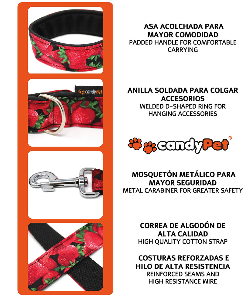 candyPet® Dog Lead - 120 cm with Padded Handle - Music Model Largo/Length: 120 cm - PawsPlanet Australia
