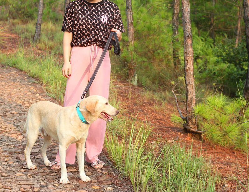 Maxpower Planet Dog Leash with Comfortable Padded Handle and Highly Reflective for Small Medium and Large Dogs-Adjustable Length from 4 Feet to 6 Feet - PawsPlanet Australia