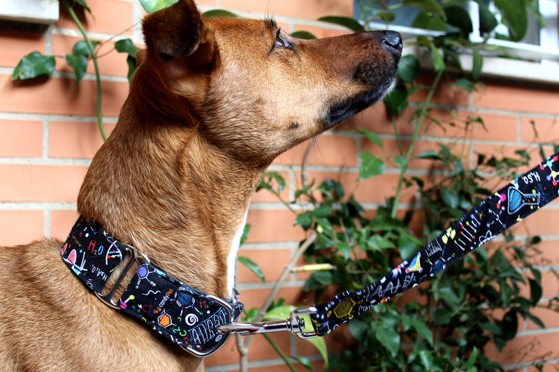 candyPet® Dog Lead - 120 cm with Padded Handle - Music Model Largo/Length: 120 cm - PawsPlanet Australia