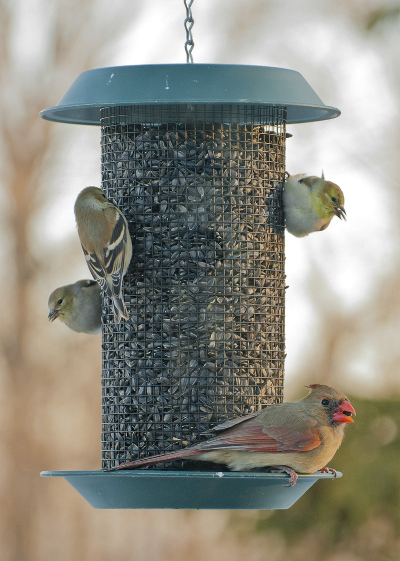 Woodlink MAG1 Magnum Sunflower Screen Feeder - PawsPlanet Australia