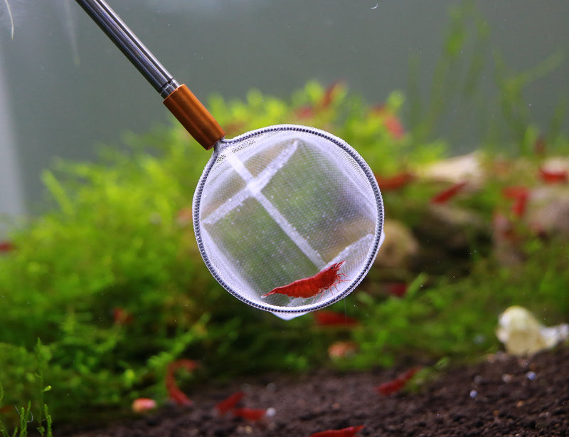 Extendable 3D Aquarium Net for Shrimp, Small Fish, Tetra, Betta, Aquarium Fish Tank - PawsPlanet Australia