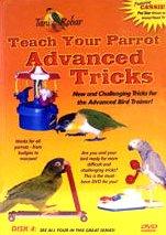 [Australia] - Feathered Phonics Teach Your Parrot Series DVD 4: Advanced Tricks 