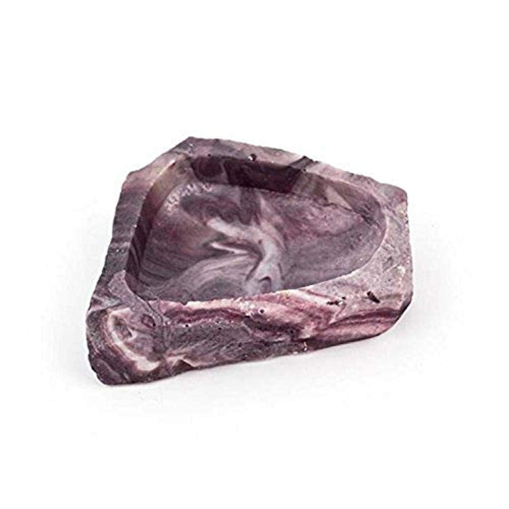 Fluker's Food/Water Reptile Corner Bowl, Small - PawsPlanet Australia
