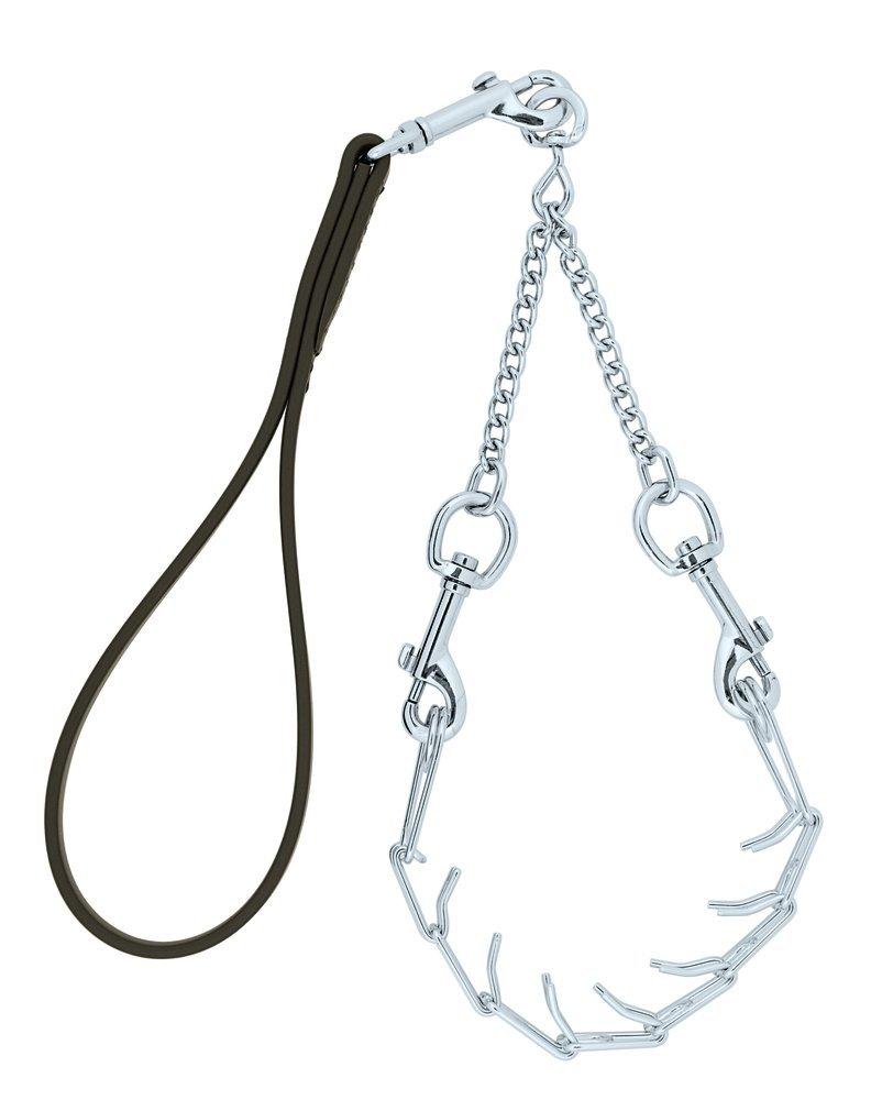 Weaver Leather Livestock Pronged Chain Goat Collar and Lead Set - PawsPlanet Australia