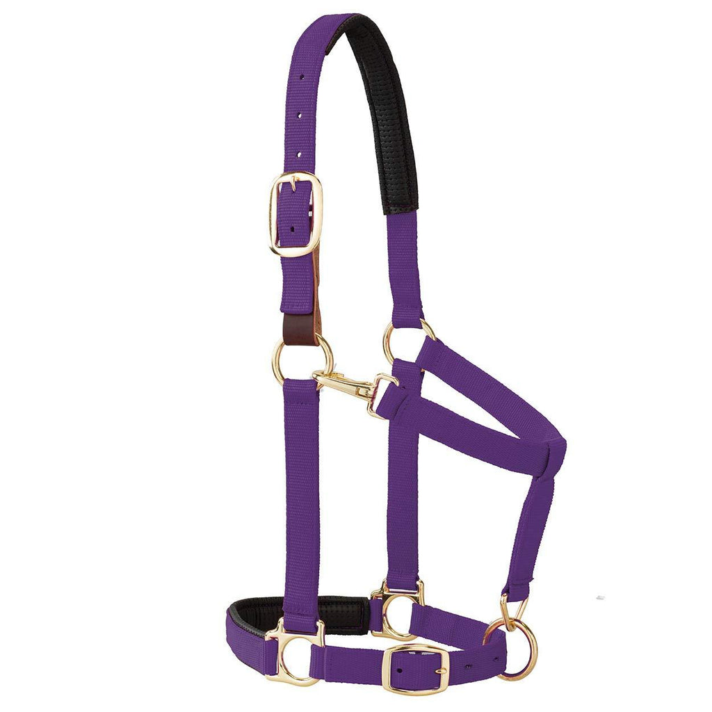 Weaver Leather Padded Breakaway Adjustable Chin & Throat Snap Halter, 1" Average Horse or Yearling Draft Purple - PawsPlanet Australia