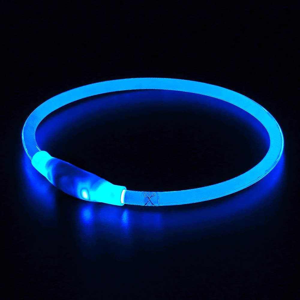 BSEEN LED Dog Collar, USB Rechargeable, Glowing pet Dog Collar for Night Safety, Fashion Light up Collar for Small Medium Large Dogs Royal Blue - PawsPlanet Australia