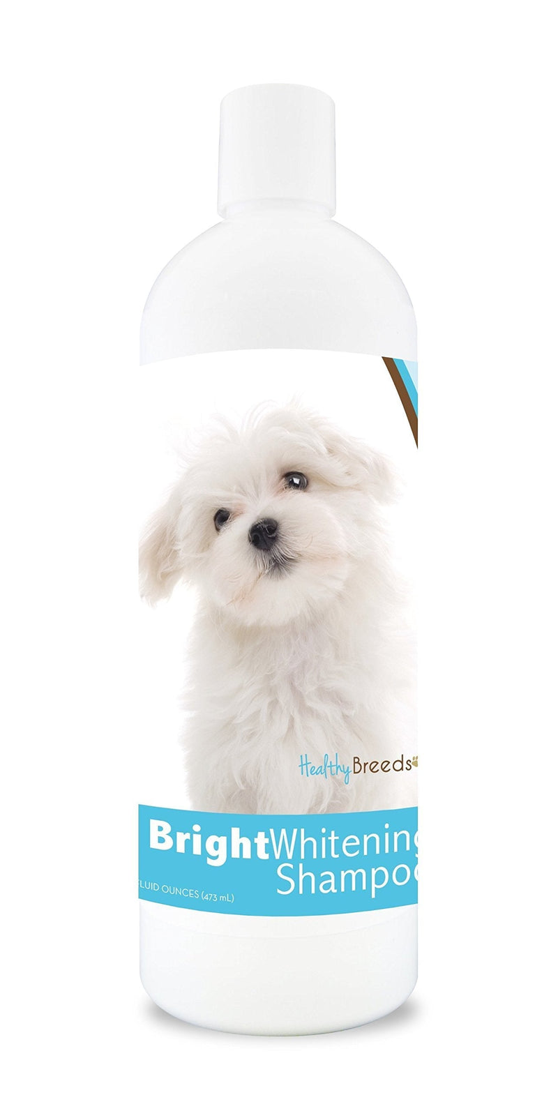 [Australia] - Healthy Breeds Bright Whitening Dog Shampoo for White & Lighter Fur - Over 150 Breeds - Pina Colada Scent - 12 oz Maltese 
