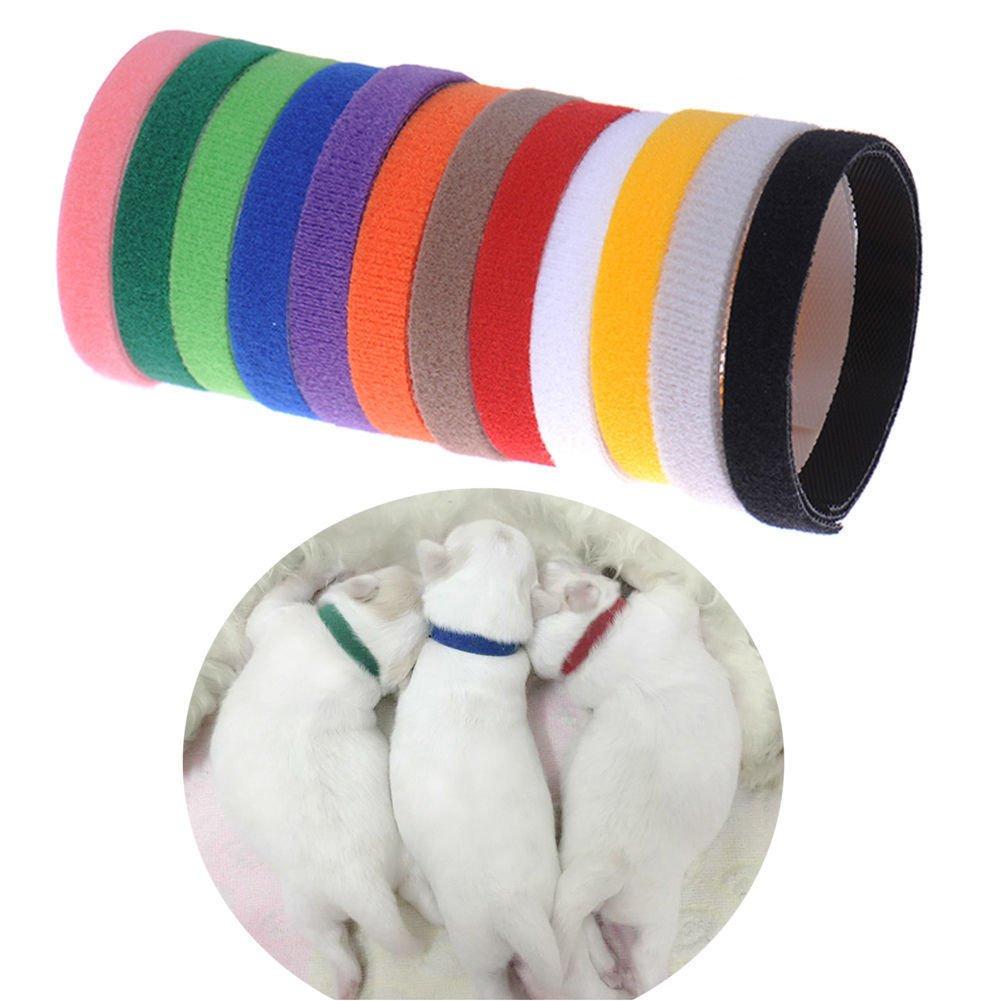 [Australia] - OCSOSO Pack of 12 Pet Dog Whelping Puppy Kitten ID Identify Sticker Collars Bands Adjustable Soft Resuable 