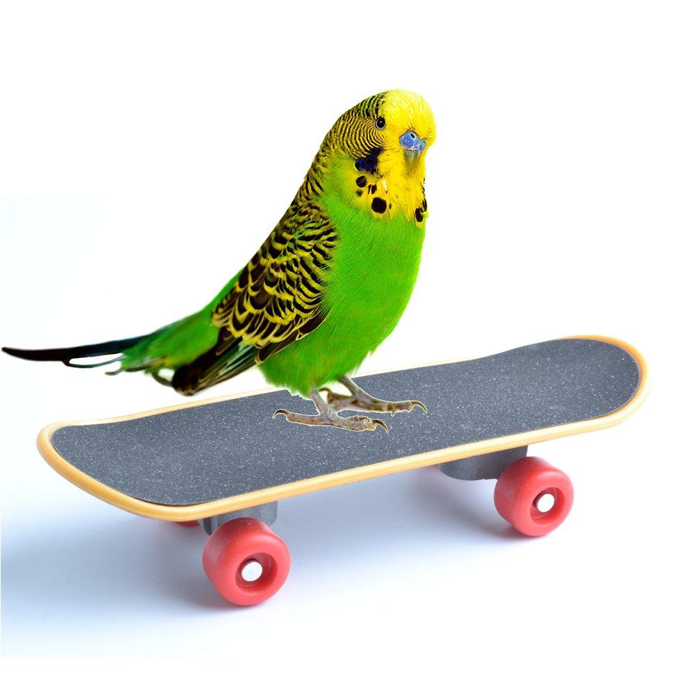 [Australia] - Bird Parrot Toys Training Skateboard Stand Perch for Parakeet Budgies Cockatiels Lovebird Conure Funny Talbe Toy 