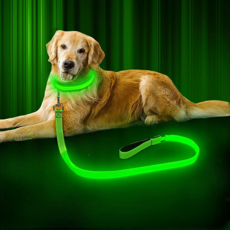 [Australia] - BSEEN LED Dog Leash - USB Rechargeable 47.2 inch 120 cm Reflective Night Safety Pet Leash LED Strip to Keep You and Your Dog Safe Neon Green 