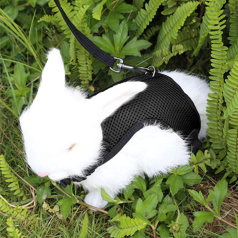 Pettom Bunny Rabbit Harness with Stretchy Leash Cute Adjustable Buckle Breathable Mesh Vest for Kitten Small Pets Walking S(Chest:10.8-12.9 in) Black - PawsPlanet Australia