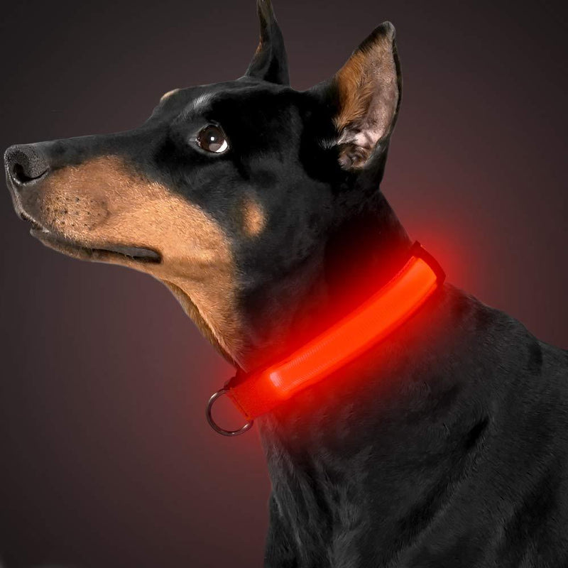 [Australia] - BSEEN LED Dog Collar, USB Rechargeable Light Up Safety Collar Adjustable Nylon Pet Collar with Metal Buckle Waterproof, Glow in The Dark High Visible for Large Medium Small Dogs USB Rechargeable-Small [11.8-15.3 inch ] Ruby Red 