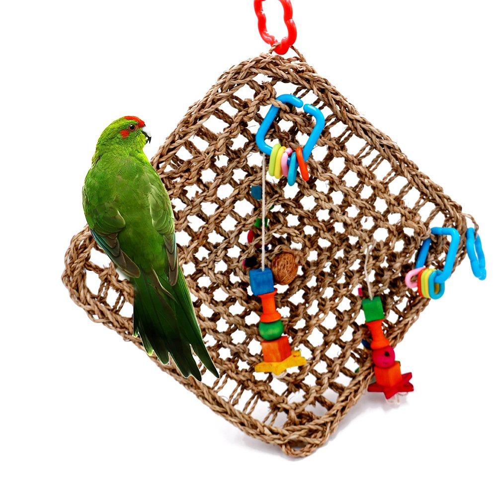 [Australia] - Borangs Bird Foraging Toys Parrot Seagrass Activity Wall Birds Toy for Cockatiel African Grey Conure Birds Cage Accessories 13inch 
