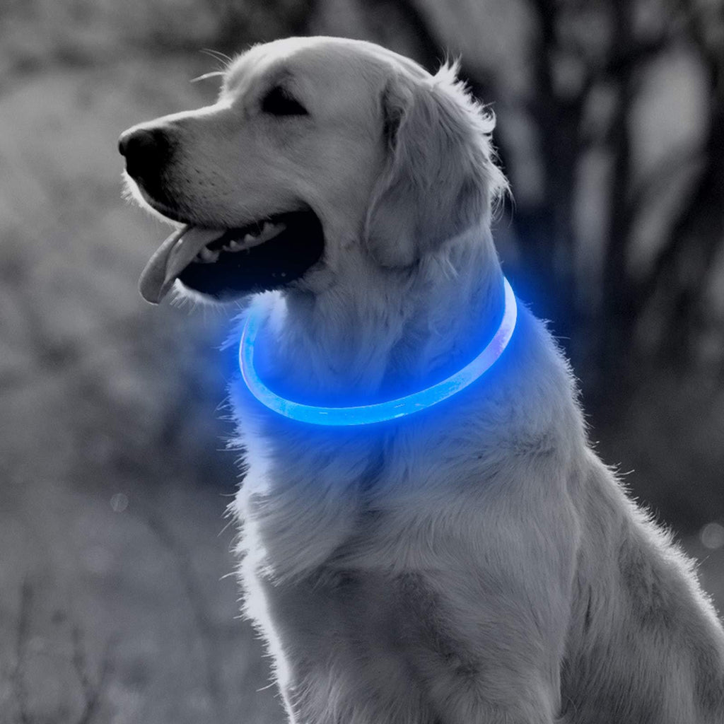 [Australia] - BSEEN LED Dog Collar, USB Rechargeable Glowing Pet Collar, TPU Cuttable Dog Safety Lights for Small Medium Large Dogs Blue 