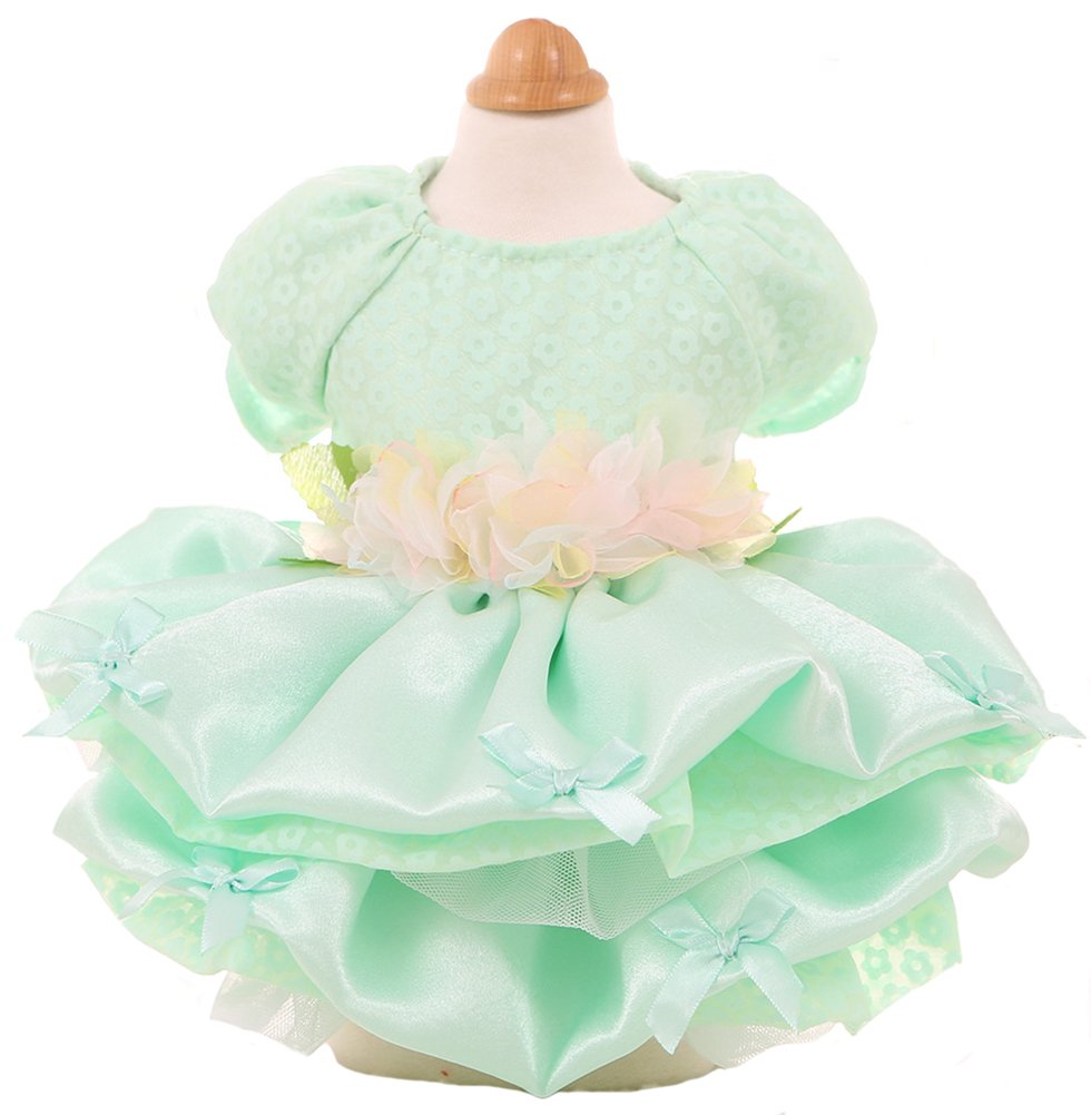MaruPet Elegant Princess Lace Hollow Dress Silky Tutu Queen Style with Bowknot for Small, Extra Small Dog Teddy, Pug, Chihuahua, Shih Tzu, Yorkshire Terriers X-Small C-Green - PawsPlanet Australia