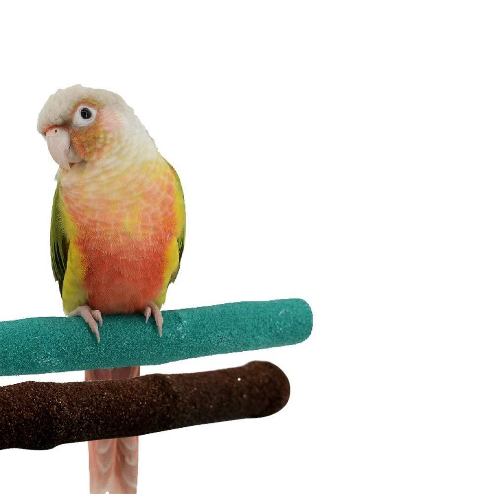 [Australia] - Borangs Parrot Perches Bird Stand Natural Wood Quartz Sand Branches Nail Perch for Small Medium Birds Cockatiel Parakeet Conure Cage Accessory Pack of 2 Upgraded New Version 20cm/8" 