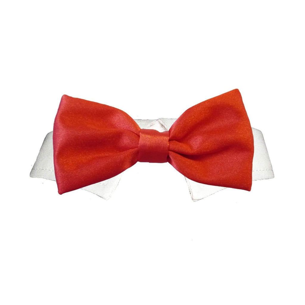 Pooch Outfitters Dog Tie and Bow Tie Collection | Extensive Selection for Any Style, Mood, Occasion, and Holiday | Small, Medium, Large Dogs XL Red Satin Bow Tie - PawsPlanet Australia